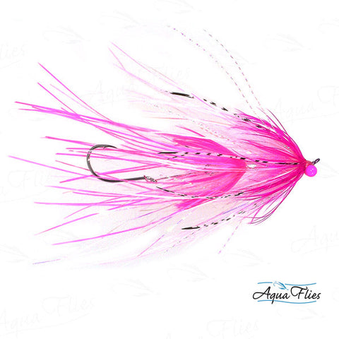 Foxall's Intruder-Fuchsia/White Size 1