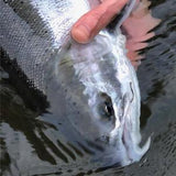 AquaTalon Swing Hook •Size 4•